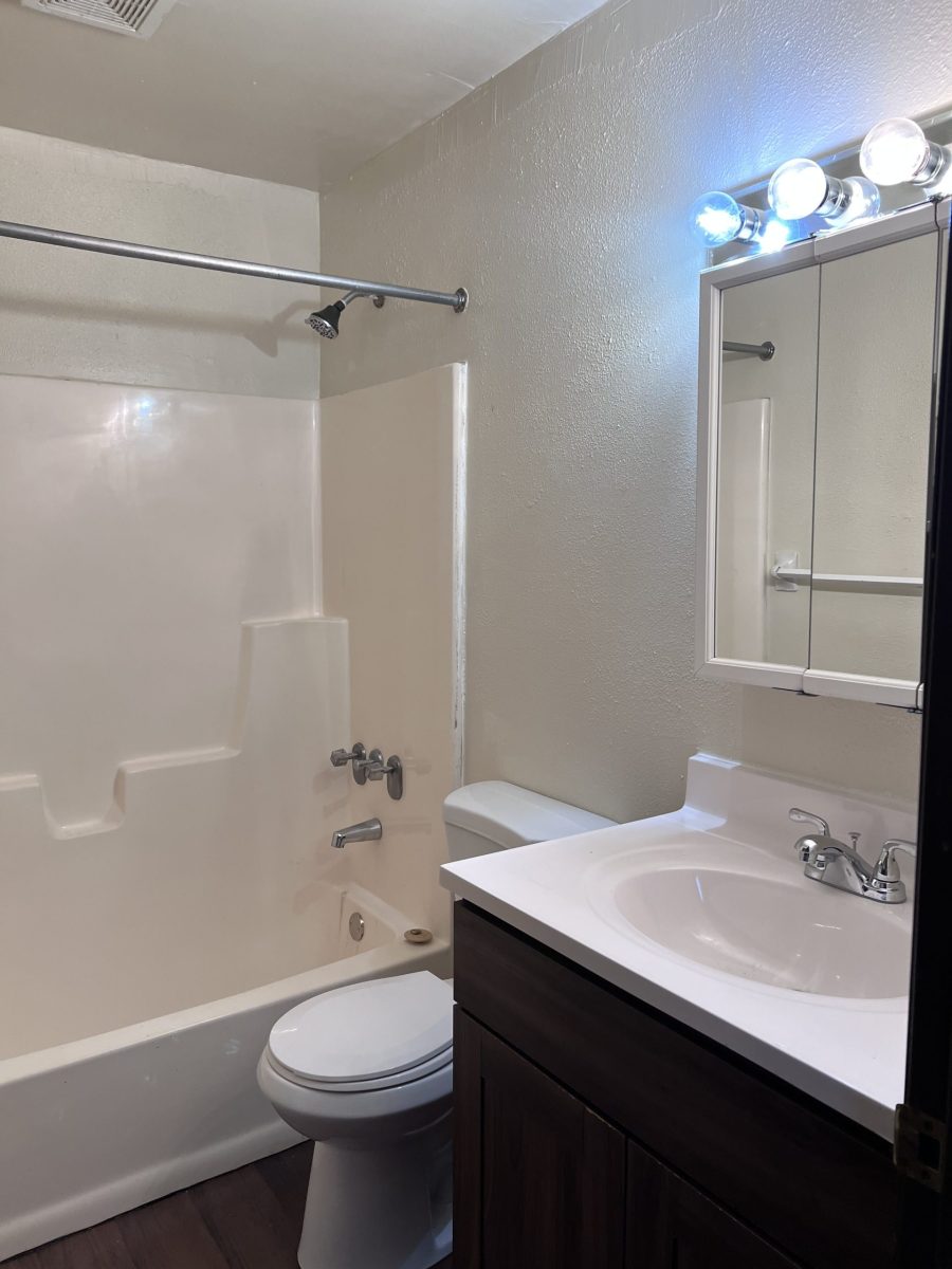 IMG 0734